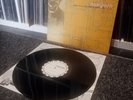 Morgoth - Feel Sorry For The Fanatic LP ( FIRST PRESS / 1996 ) Death - Sadus