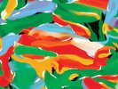 Auntie Flo - Birds Of Paradise, LP, (Vinyl)