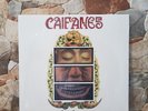 CAIFANES - EL SILENCIO