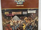 Marvin Gaye – I Want You (1976, Tamla Records, Vinyl LP)