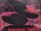 Porcupine Tree Rockpalast 2005 Limited Vinyl Record Analog Album