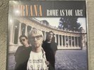 Nirvana - Rome As You Are, Vinyl Record, LP