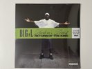Big L - Harlem’s Finest: Return Of The King [Fat Beats Exclusive Neon Green LP]