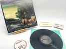 Fleetwood Mac- Tango In The Night VG+/VG+ Ultrasonic Clean 1987 Vinyl Record