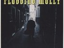 Flogging Molly Drunken Lullabies (Vinyl) 12