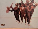 THE T.S.U. TORONADOS ONE FLIGHT TOO MANY LP + UNRELEASED TRACKS