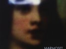 Marmoset Tea Tornado (Vinyl)