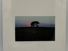 Pat Methany – BRIGHT SIZE LIFE LP Still Sealed Germany ECM 1073
