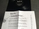 Bjork - Meets The Masters at Work 10