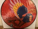 DAVID BOWIE THE MAN WHO SOLD THE WORLD PICTURE DISC RSD 2016 NEW SS