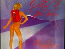 Roger Waters – The Pros And Cons Of Hitch Hiking - USED Vinyl LP