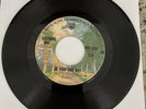 Fleetwood Mac 45 RPM 7” Vinyl - Go Your Own Way/Silver Springs - WBS 8304 Tested