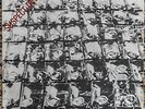 Stiff Little Fingers, Suspect Device, Rare 7