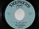 Doo-Wop 45 - Universals - I'm In Love/A Love Only You Can Give - Shepherd VG++