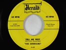 Doo-Wop/R&B 45 - Sunbeams - Tell Me Why/Come Back Baby - Herald