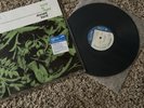 Byrd in Flight (Blue Note Tone Poet Series) by Byrd, Donald (Record, 2021)