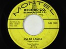 Doo-Wop 45 - Hi-Fi's - I'm So Lonely - Montel