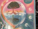 Astropical – Bomba Estéreo & Rawayana | Pink Vinyl LP | NEW Sealed | Latin Alt