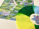 Fiddlehead BETWEEN THE RICHNESS Color Vinyl LP Record NM