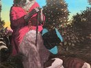 J.J. Cale Naturally Vinyl