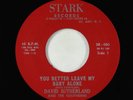 Rockabilly 45 - David Sutherland - You Better Leave My Baby Alone - Stark VG+