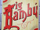 Cheech and Chong - Big Bambu - 1972 LP With ROLLING PAPER  Album Vinyl SP77014