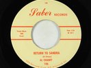 Teen 45 - Al Chaney - Return To Sandra - Saber VG+