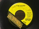 Rare GARAGE 45 - DENNIS AND THE TIMES- Flight Patterns/Just If She's There VG+