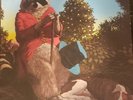 J.J. Cale - Naturally (LP) (Very Good Plus (VG+)) - 3962312215