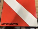 Van Halen Diver Down LP 82 Warner BSK 3677 WINCH PRESSING PLAYS EX VG++/VG+(4)