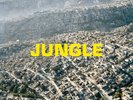 The Blaze JUNGLE (Vinyl) 12