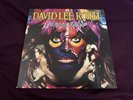 David Lee Roth lp Sonrisa Salvaje Vinyl LP PROMO Spanish 1986 Van Halen RARE