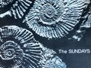 THE SUNDAYS - READING, WRITING AND ARITHMETIC - VINYL LP 
