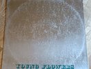 Young Flowers LP No 2 Denmark Sonet 1st Press LOVELY AUDIO PSYCH FUZZY BLUES GEM