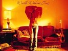 LUCINDA WILLIAMS WORLD WITHOUT TEARS VINYL LP NEW