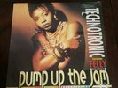 Technotronic Featuring Felly – Pump Up The Jam (VINYL 