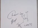 Black Country, New Road Forever Howlong SIGNED White Label Test Pressing Vinyl