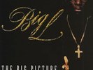 The Big Picture (1974 - 1999) - Big L (OG) | Vinyl Record