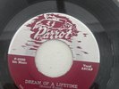FLAMINGOS: dream of a lifetime / on my merry way PARROT 7