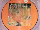 SLAYER Hell Awaits METAL BLADE PICTURE DISC LP Limited Edition 1985 RARE