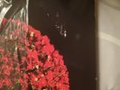 SUPERACHE CONAN GRAY REPUBLIC RECORDS  VINYL USED BLACK ICE FREE SHIP