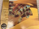 Django Django : Django Django VINYL 10th Anniversary  12