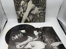 MUDHONEY Superfuzz Bigmuff 12