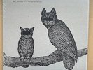 Neil Halstead  Palindrome Hunches - rare vinyl LP with free 7