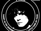 T. Rex Dandy In the Underworld (Red Andblue Vinyl) Double LP Vinyl NEW