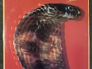BLACKFOOT Strikes - 1979 1st Press ATCO LP Southern Rock Classic -