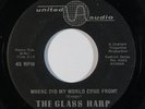 Garage/Psych 45 GLASS HARP Where Did My World Come From?/She Told Me on United