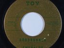 Surf 45 EMERALDS Roadrunner/Silver on Toy
