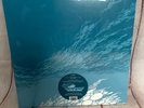 Boris - Flood 2X LP