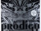 Prodigy - Charly/Everybody In The Place 12